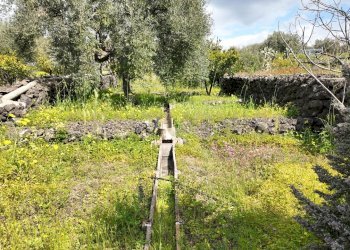 DJI_20260326104508_0010_D.JPG - Terreno agricolo Contrada malvezzaro, Santa Maria di Licodia - foto 9