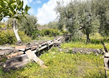 DJI_20260326104525_0011_D.JPG - Terreno agricolo Contrada malvezzaro, Santa Maria di Licodia - foto 10
