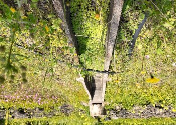 DJI_20260326104547_0012_D.JPG - Terreno agricolo Contrada malvezzaro, Santa Maria di Licodia - foto 11