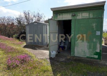 DJI_20260326104855_0019_D.JPG - Terreno agricolo Contrada malvezzaro, Santa Maria di Licodia - foto 13