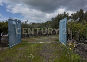 DJI_20260326105401_0029_D.JPG - Terreno agricolo Contrada malvezzaro, Santa Maria di Licodia - foto 18