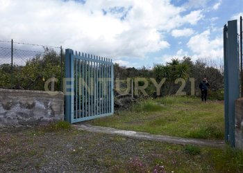 DJI_20260326105532_0032_D.JPG - Terreno agricolo Contrada malvezzaro, Santa Maria di Licodia - foto 20