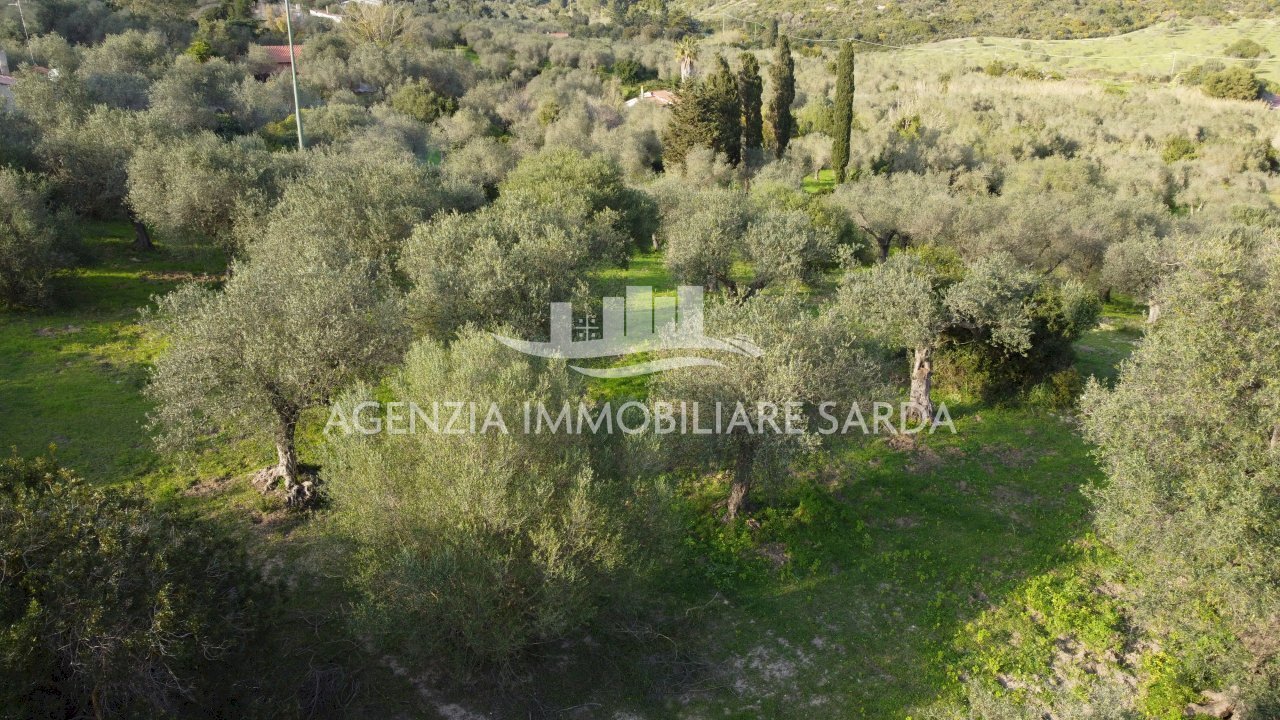 DJI_0696.JPG - Agricultural land Alghero - photo 2