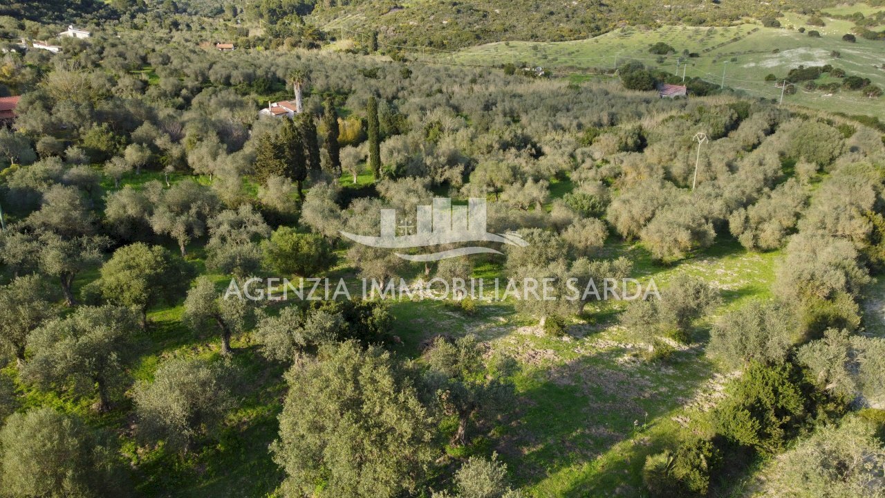 DJI_0704.JPG - Agricultural land Alghero - photo 3