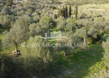 DJI_0696.JPG - Agricultural land Alghero - photo 2