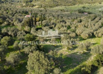 DJI_0704.JPG - Agricultural land Alghero - photo 3