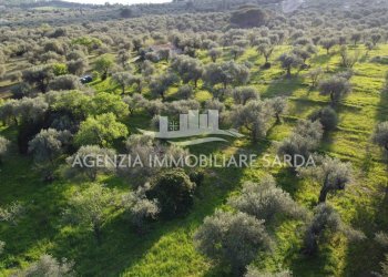 DJI_0706.JPG - Agricultural land Alghero - photo 5