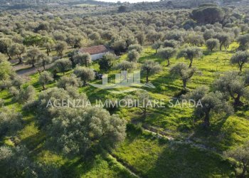 DJI_0709.JPG - Agricultural land Alghero - photo 7