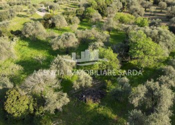 DJI_0711.JPG - Agricultural land Alghero - photo 9