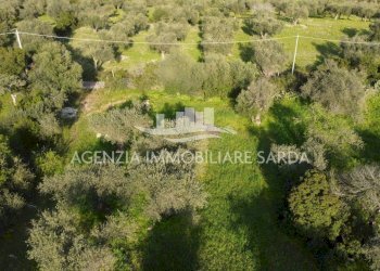 DJI_0712.JPG - Agricultural land Alghero - photo 10