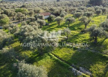 DJI_0713.JPG - Agricultural land Alghero - photo 11