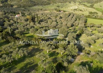DJI_0714.JPG - Agricultural land Alghero - photo 12