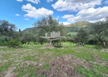 WhatsApp Image 2026-03-25 at 16.15.04 (1).jpeg - Agricultural land Alghero - photo 15