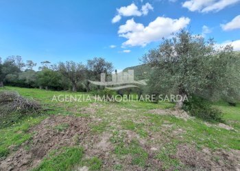 WhatsApp Image 2026-03-25 at 16.15.04 (2).jpeg - Agricultural land Alghero - photo 16