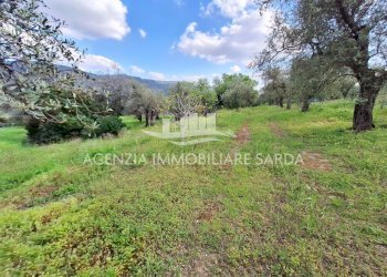 WhatsApp Image 2026-03-25 at 16.15.06 (2).jpeg - Agricultural land Alghero - photo 20