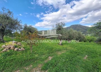 WhatsApp Image 2026-03-25 at 16.15.07 (1).jpeg - Agricultural land Alghero - photo 22