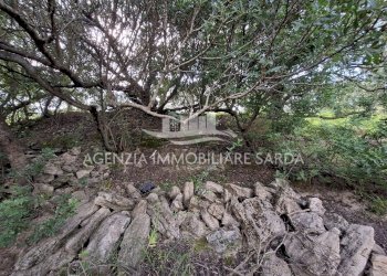 WhatsApp Image 2026-03-25 at 16.15.07.jpeg - Agricultural land Alghero - photo 23