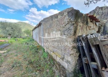 WhatsApp Image 2026-03-25 at 16.19.37.jpeg - Agricultural land Alghero - photo 24