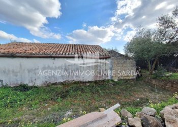 WhatsApp Image 2026-03-25 at 16.19.48 (1).jpeg - Agricultural land Alghero - photo 25