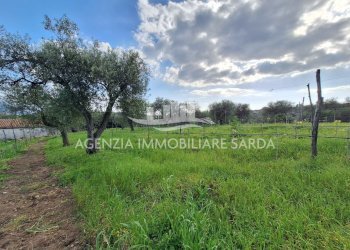 WhatsApp Image 2026-03-25 at 16.19.48 (3).jpeg - Agricultural land Alghero - photo 29