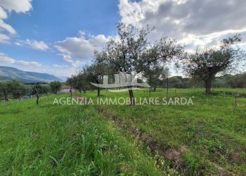 WhatsApp Image 2026-03-25 at 16.19.48 (4).jpeg - Agricultural land Alghero - photo 30