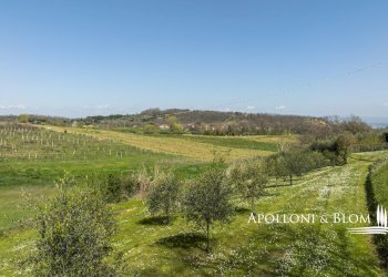 Villa Unifamiliare via delle terme, 1, Montepulciano - foto 44