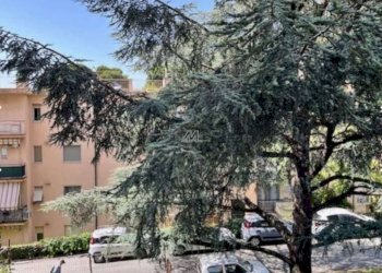 Trilocale Genova (zona Pegli) - foto 37