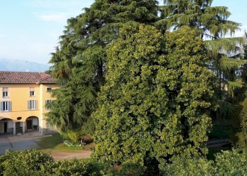 Two-room apartment via medolago, 1
Terno d'Isola, Terno d'Isola - photo 1