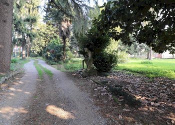 Two-room apartment via medolago, 1
Terno d'Isola, Terno d'Isola - photo 4