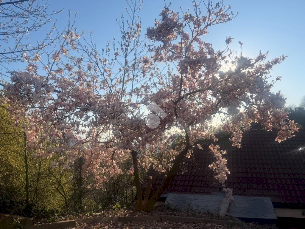 Porzione di casa Strada san raffaele, Castagneto Po - foto 3