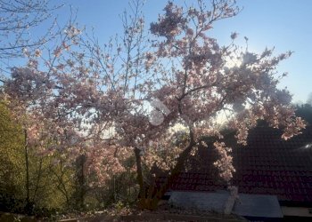 Porzione di casa Strada san raffaele, Castagneto Po - foto 3
