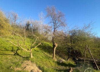 Porzione di casa Strada san raffaele, Castagneto Po - foto 8