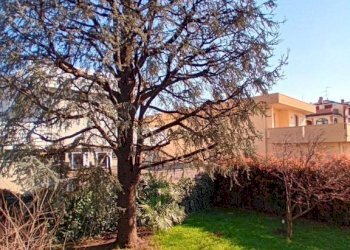 Three-room apartment Agrate Brianza - photo 36