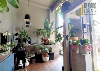 Negozio Milano - foto 2