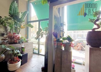 Negozio Milano - foto 4