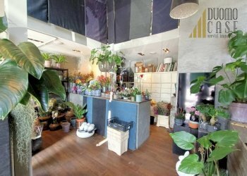 Negozio Milano - foto 6