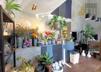 Negozio Milano - foto 7