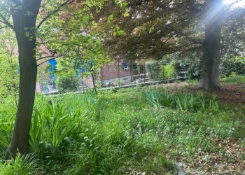 Non-buildable land Torino (neighborhood Barriera Milano) - photo 8