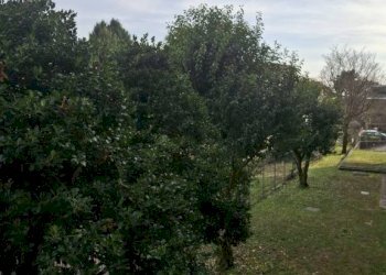 Trilocale Monza - foto 10