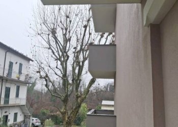 Trilocale Monza - foto 11