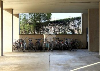 Quadrilocale Via Enrico Falck, Milano (zona Gallaratese) - foto 5