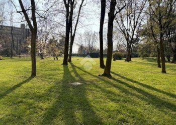 Quadrilocale Via Enrico Falck, Milano (zona Gallaratese) - foto 6