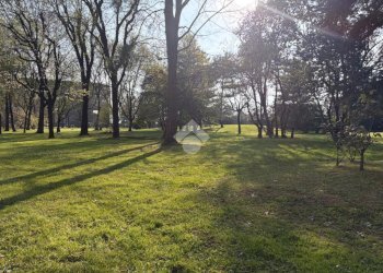 Quadrilocale Via Enrico Falck, Milano (zona Gallaratese) - foto 7