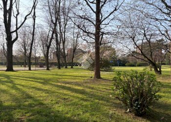 Quadrilocale Via Enrico Falck, Milano (zona Gallaratese) - foto 10