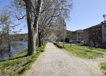 Trilocale Corso casale, Torino (zona Borgo Po) - foto 19