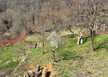 Casa semi indipendente Via Camblione, Montescheno - foto 28