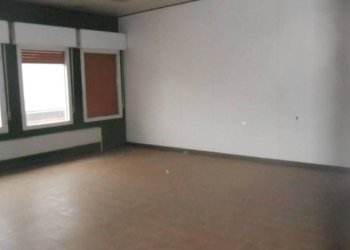 Shed Argelato - photo 10