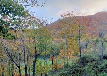 Casa indipendente Via Pignoli e Valli, Castiglione dei Pepoli - foto 34
