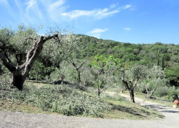 Foto 8 - Rustic via Panoramica della Rocca, Scarlino - photo 8