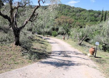 Foto 10 - Rustic via Panoramica della Rocca, Scarlino - photo 10